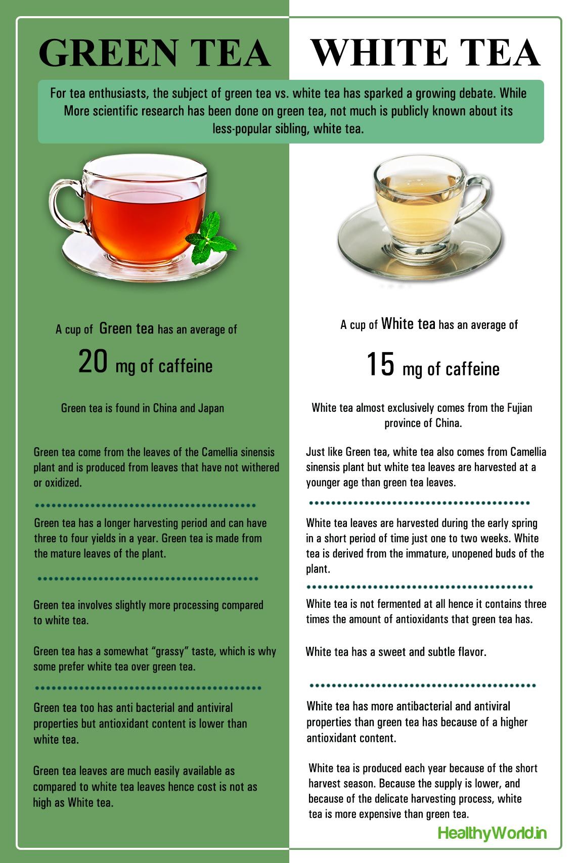 white vs green tea