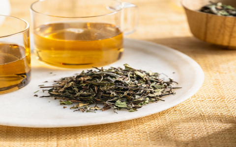 white vs green tea