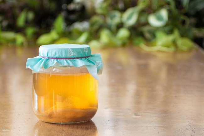 green tea kombucha