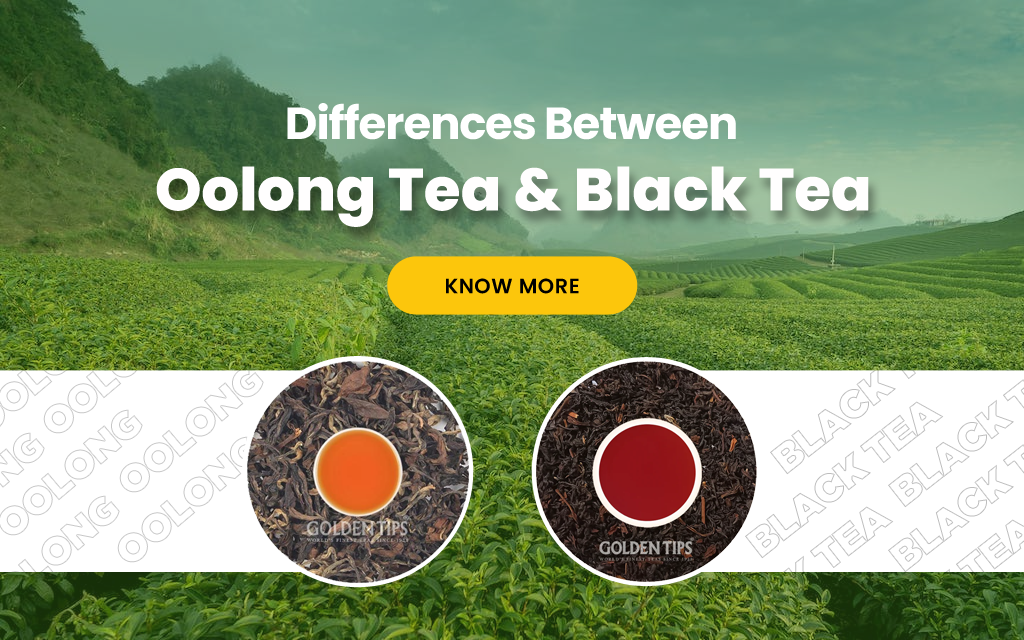 oolong is black tea