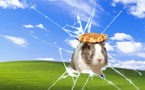 oolong the pancake rabbit