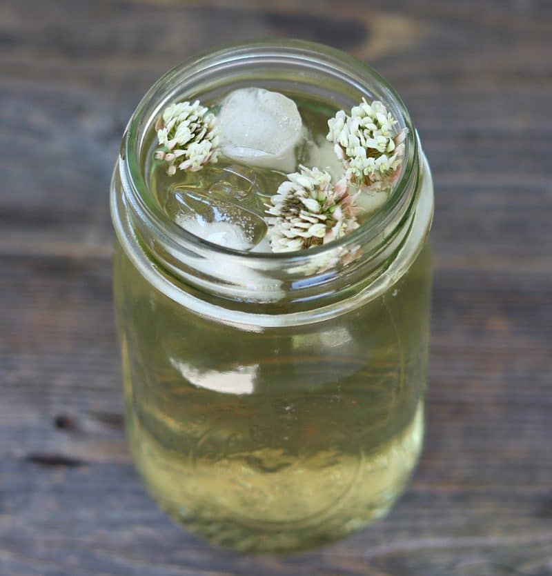 white clover tea