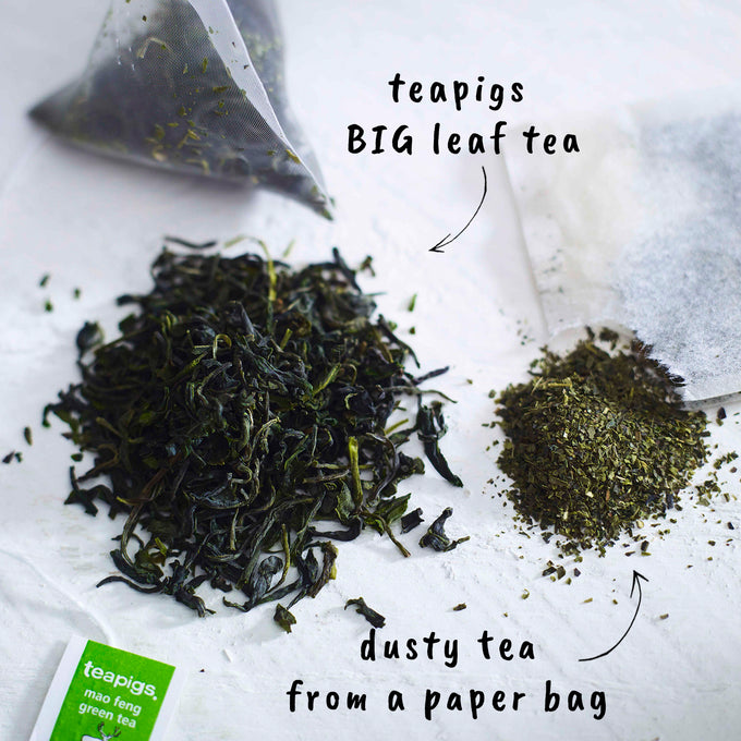 mao feng green tea benefits