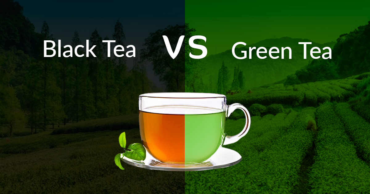 Unveiling the Difference: What is the Difference Between Green and Black Tea?