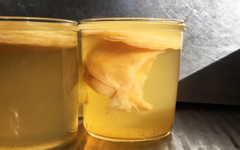 Fermented Black Tea: What Is It and Why Should You Drink It?