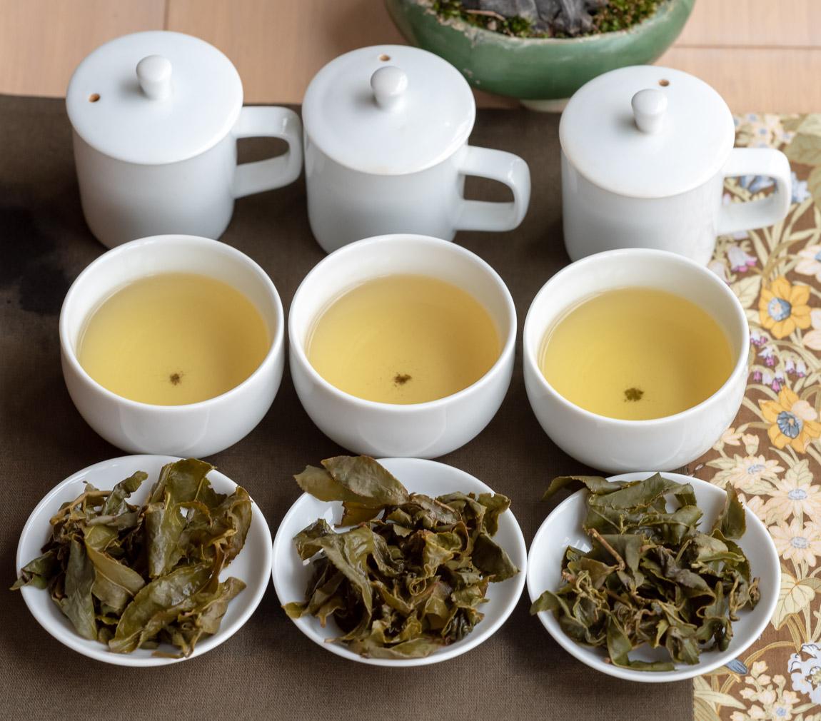 qingxin oolong