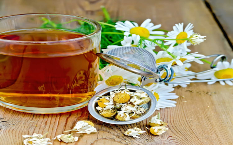 chamomile tea taste