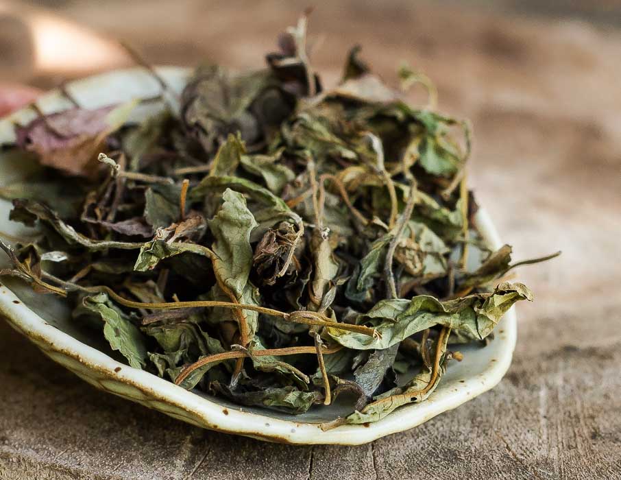 white tea online