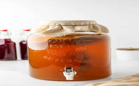 green tea kombucha