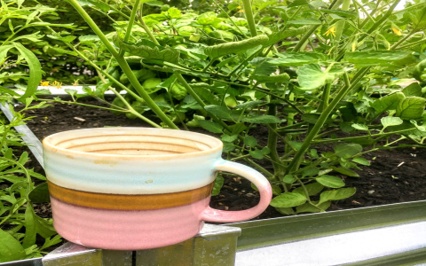 DIY Raspberry Black Tea: Simple Steps for Beginners