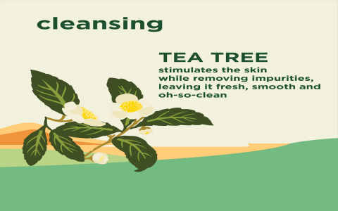 tea tree oil facial cleansers