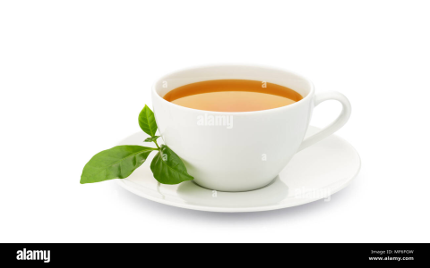green tea white
