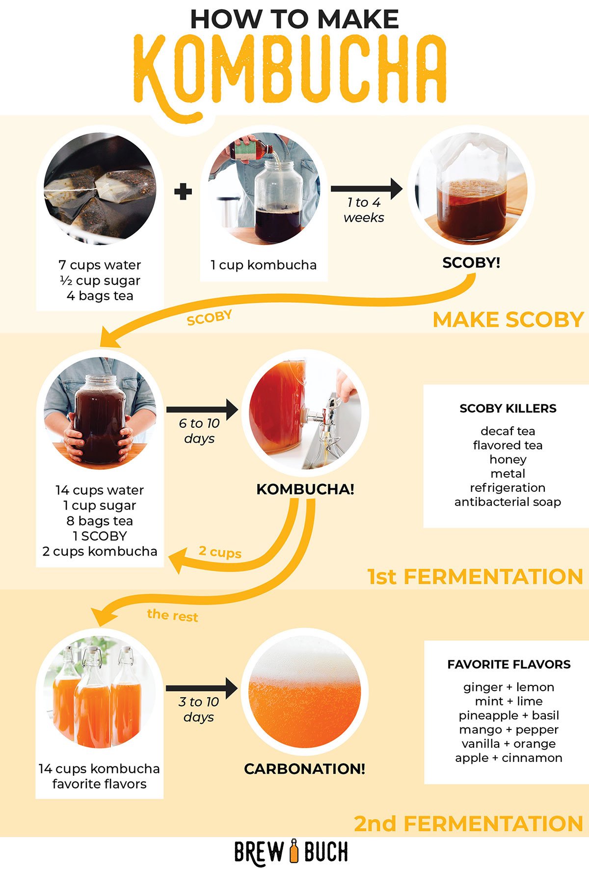 Best Black Tea for Kombucha Brewing: Easy Guide for Beginners!