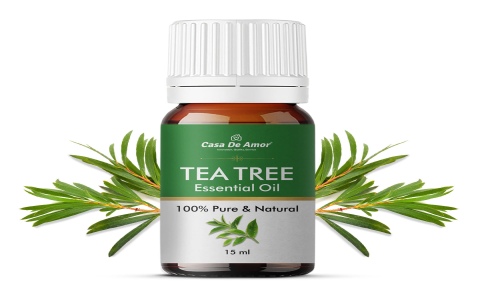 tea tree oil and coconut oil