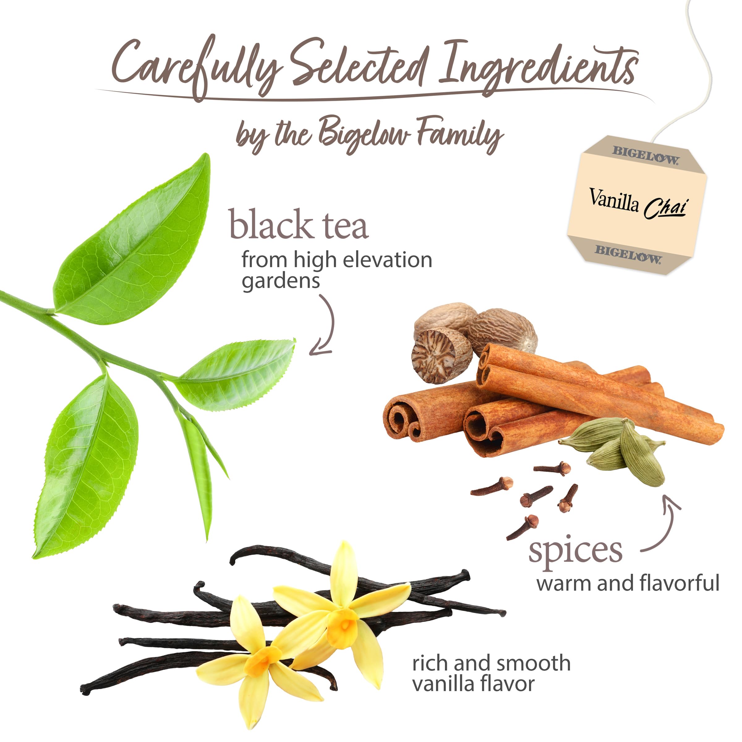 Black Tea Vanilla Chai vs. Other Chai Blends: What Makes It Unique and Why You Should Try It!