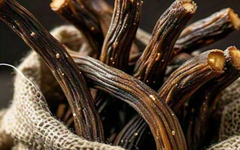 Black Licorice Tea: Is it Good For You? Easy Guide to Benefits