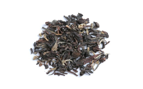 taiwan oolong