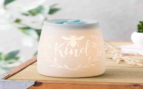 scentsy white tea and cactus