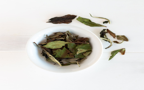 pomegranate white tea benefits