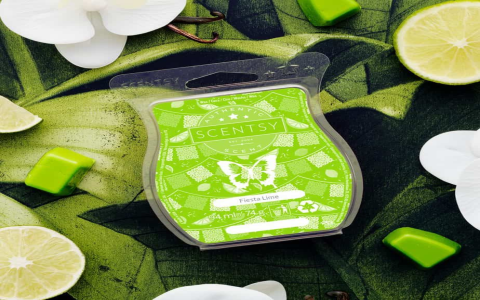 white tea and cactus scentsy