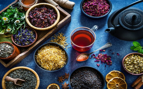 ginseng oolong tea benefits