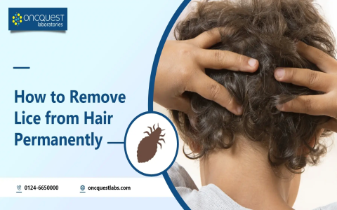 can tea tree oil kill lice and nits