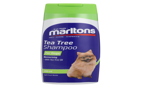 tea tree oil shampoo for dogs