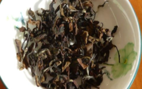 oolong brewing temperature