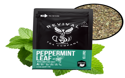 Black Tea With Mint Leaves: How to Make a Refreshing Cup and Enjoy the Amazing Health Benefits