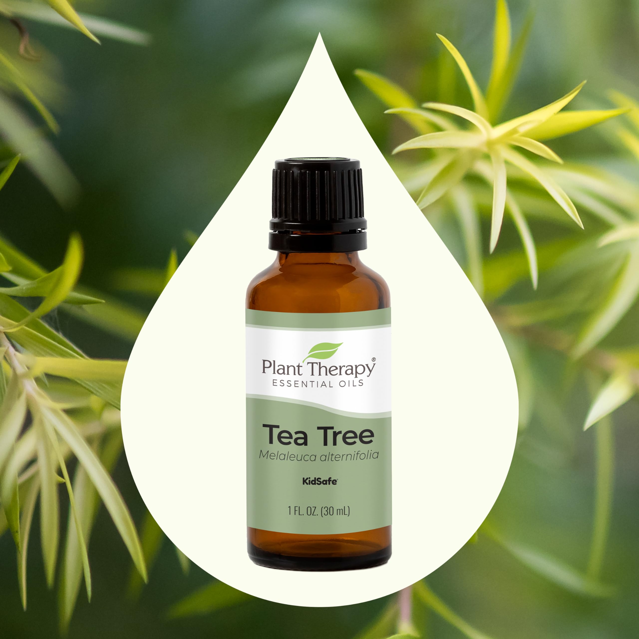 planttherapy sds sheet tea tree essential oil