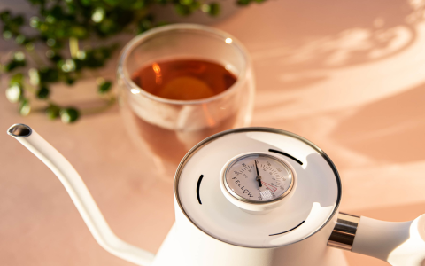 water temperature for white tea