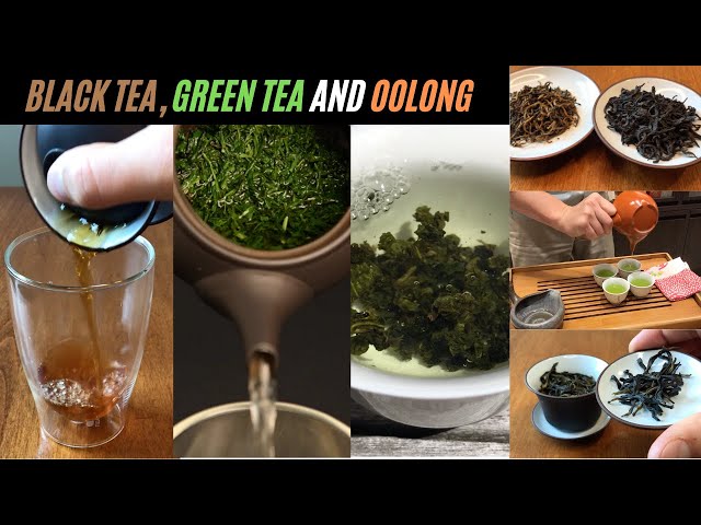 oolong tea green or black