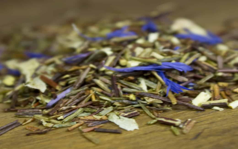 green rooibos tea