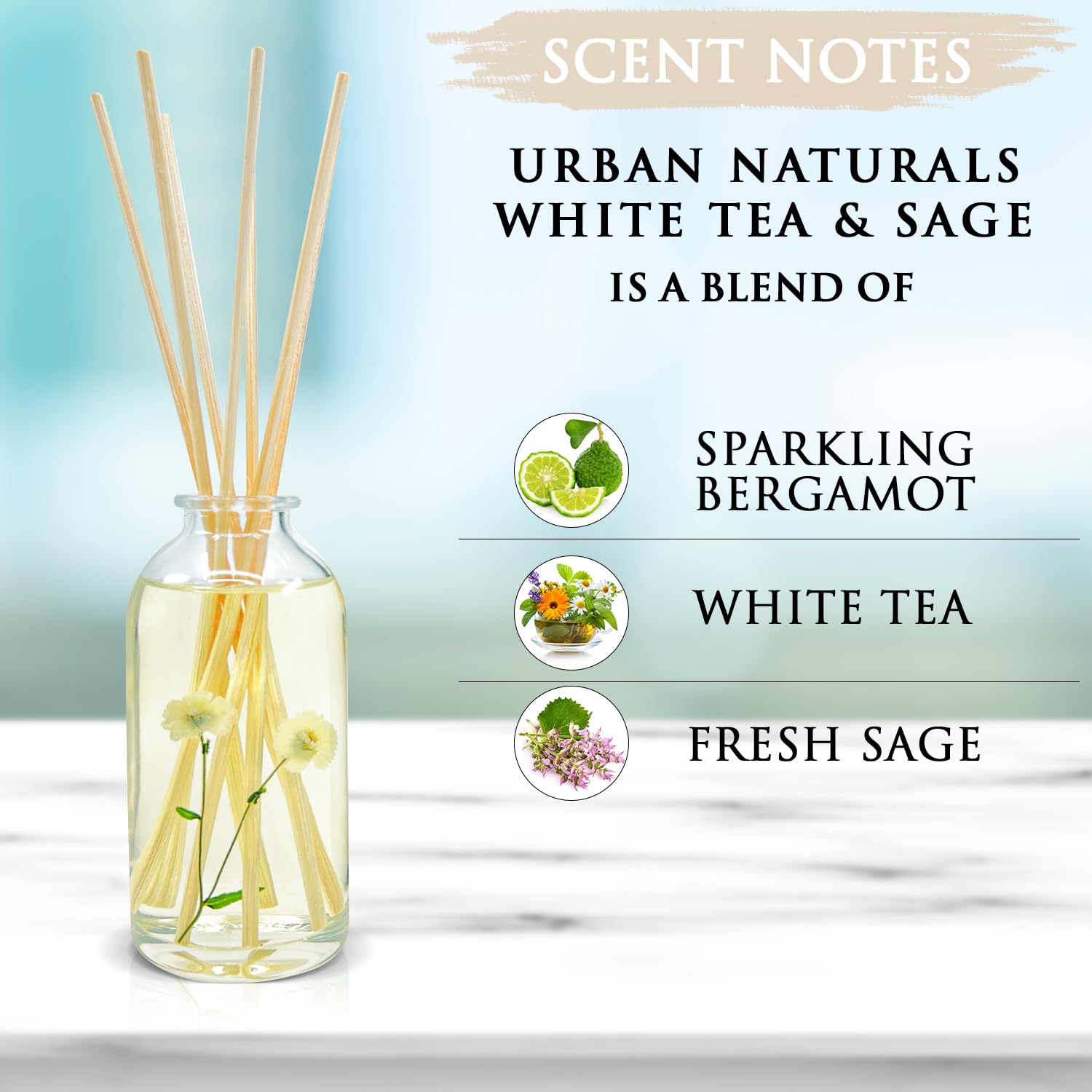 white tea and sage diffuser