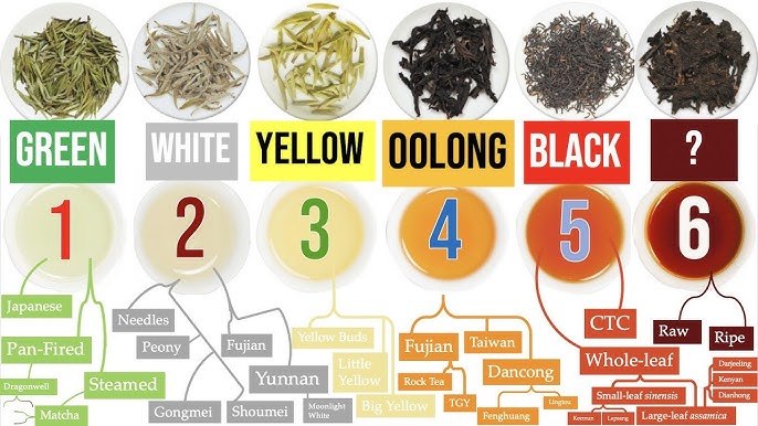 Different Types of Black Tea: Learn Which One Youll Love Most!