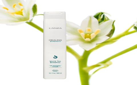 l’anza healing strength white tea shampoo