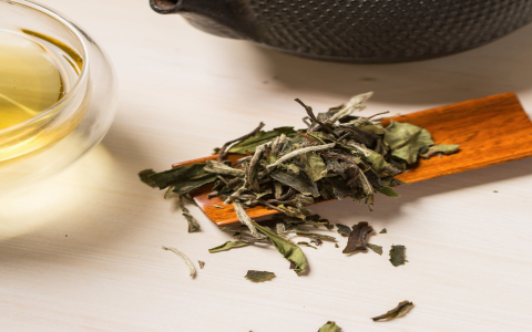 does white peony tea have caffeine