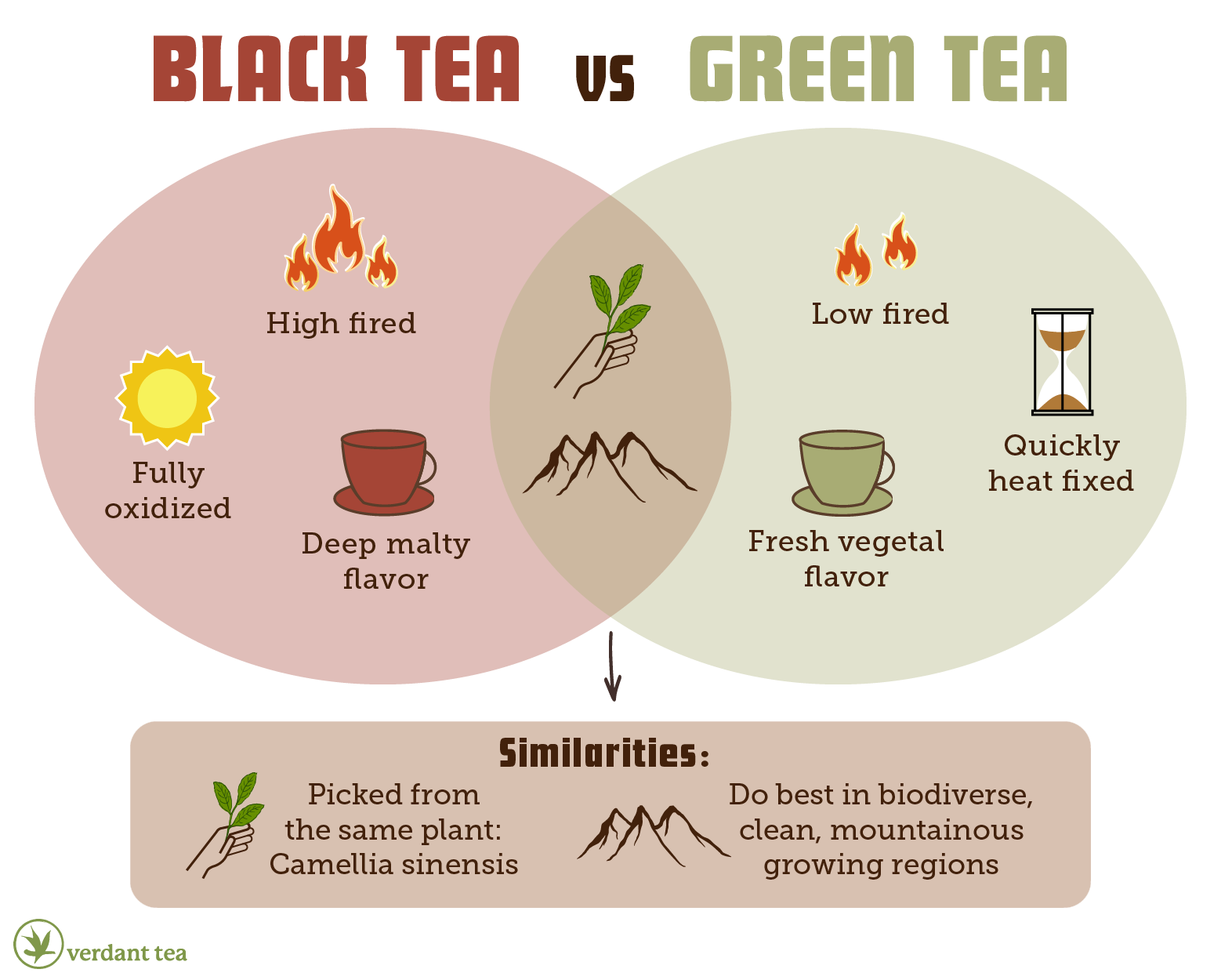 Green Tea Mixed with Black Tea: What Happens? (Easy Tips for Beginners!)