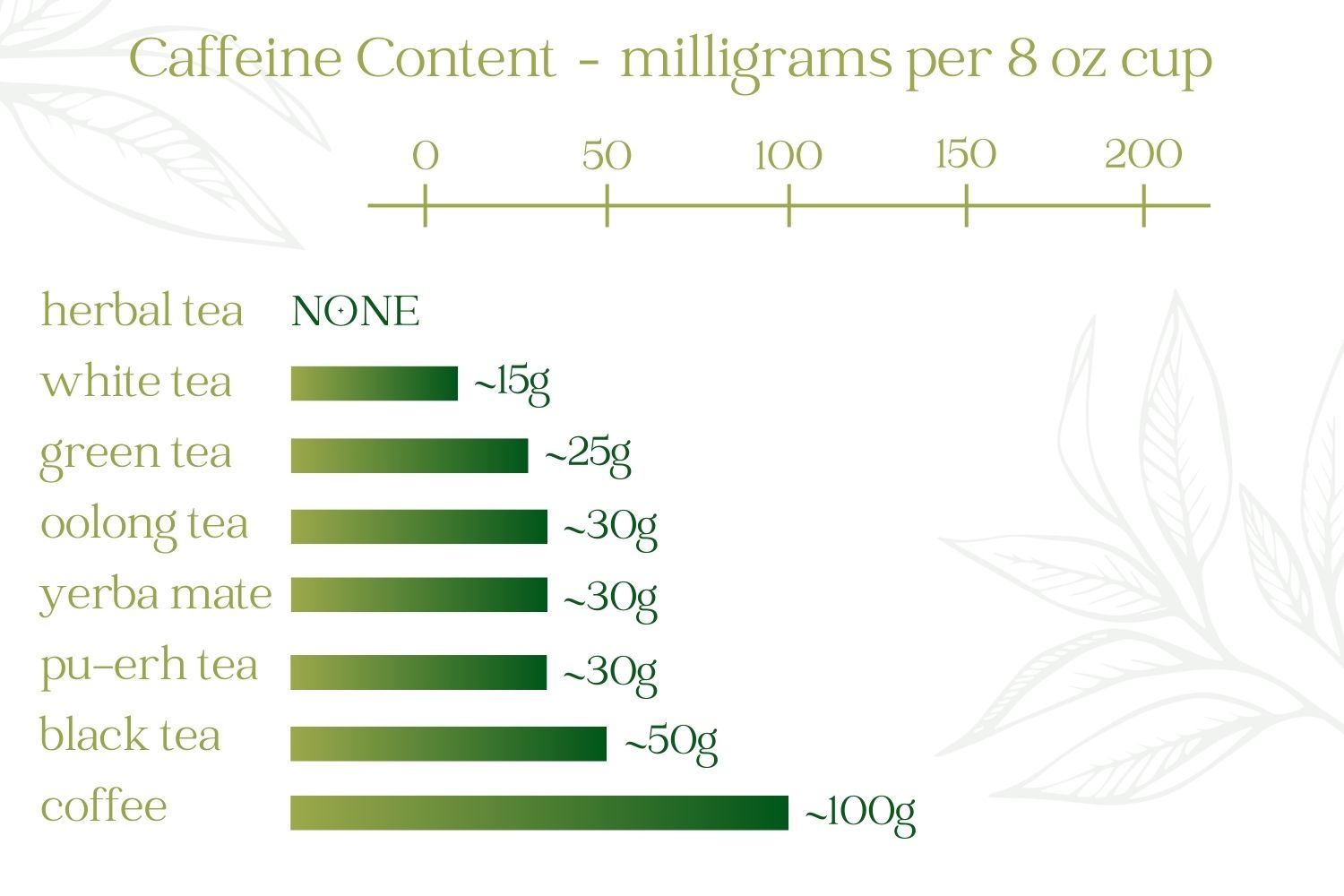 Matcha vs Black Tea Caffeine Levels: Find Out Which Drink Is Stronger!