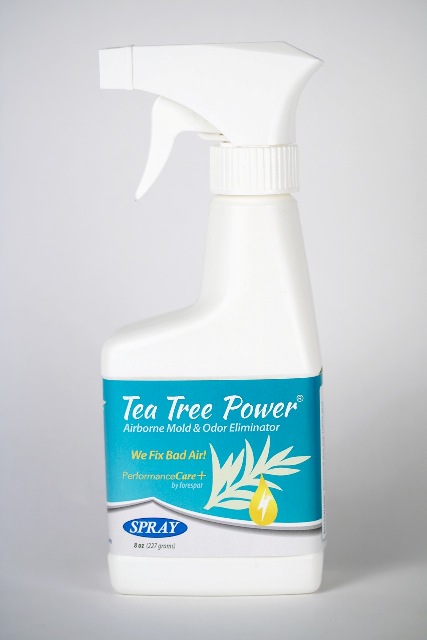 tea tree oil for mold