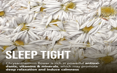 white chrysanthemum tea