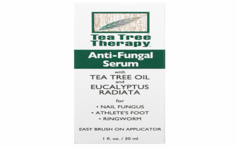 tea tree oil for mold