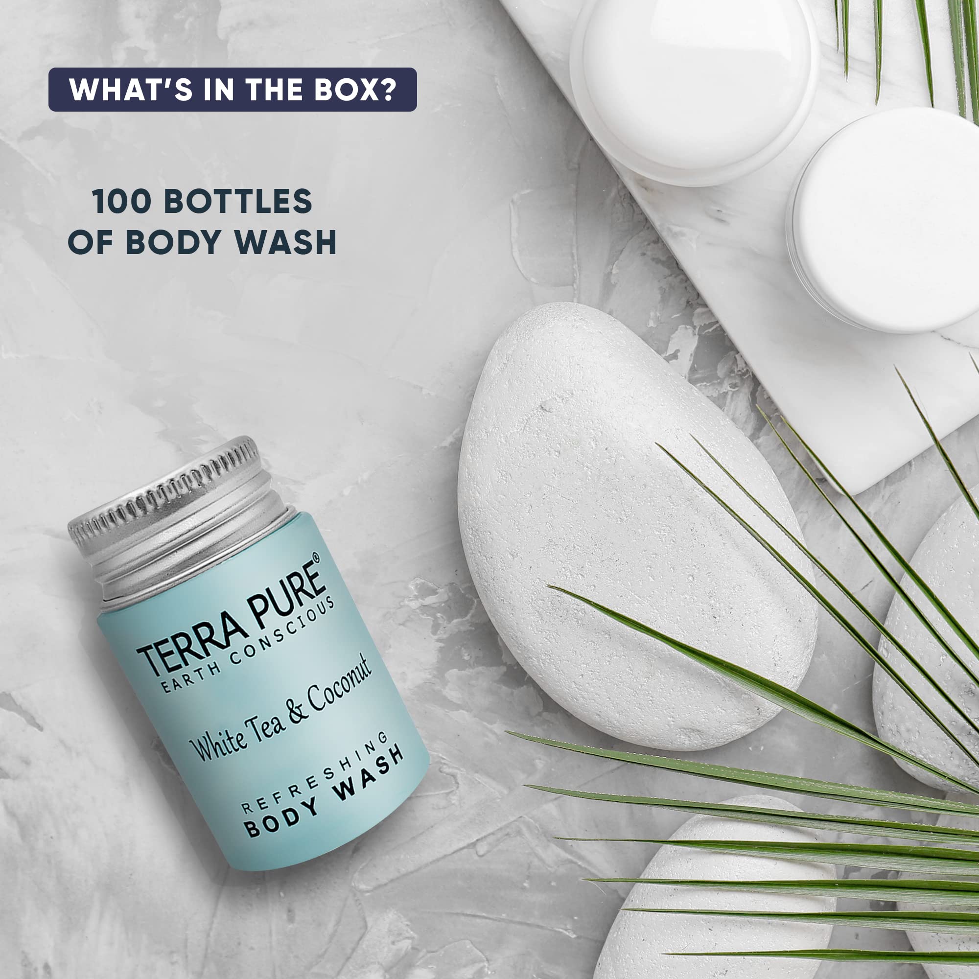 terra pure white tea and coconut