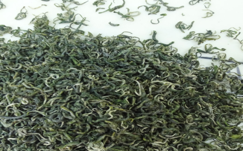 pi luo chun green tea