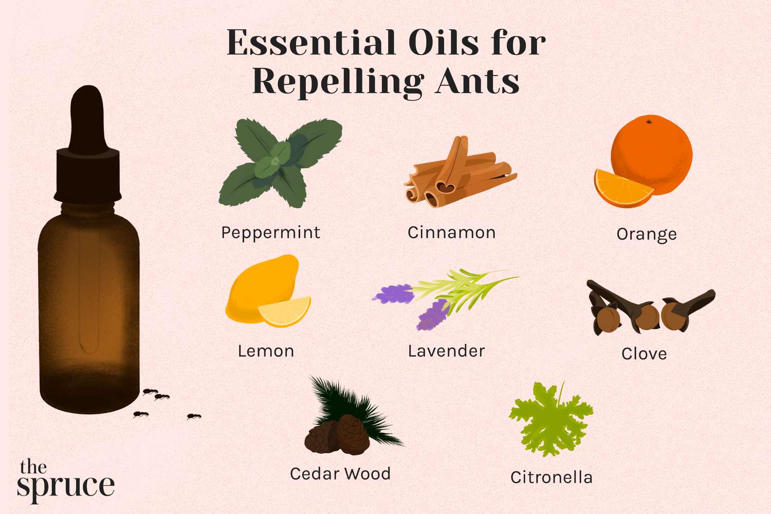 tea tree oil ants