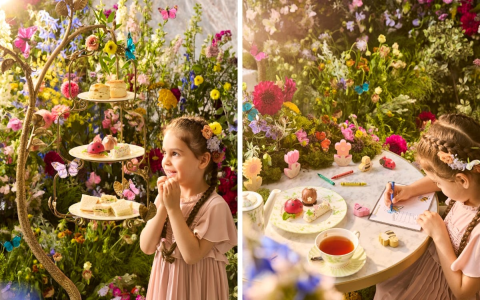 Princess House Tea Set: The Ultimate Gift Guide for kids party